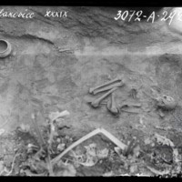 neg3072-A-2923.jpg